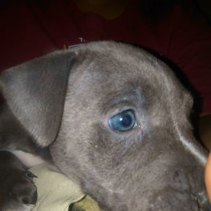 Meet your Posher, Stephen